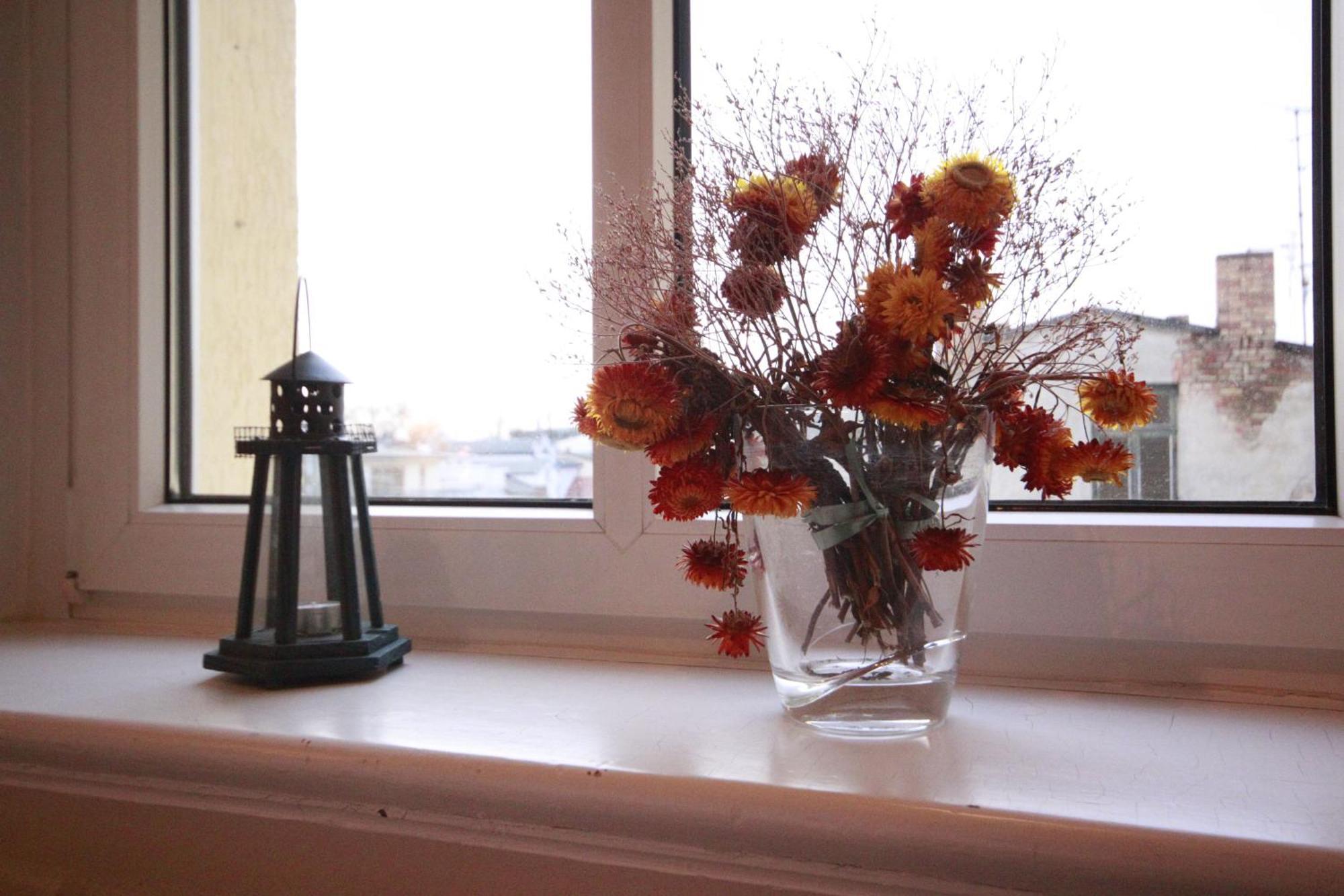 Apartment Warnemuende Seebrise Ref 50356 Rostock