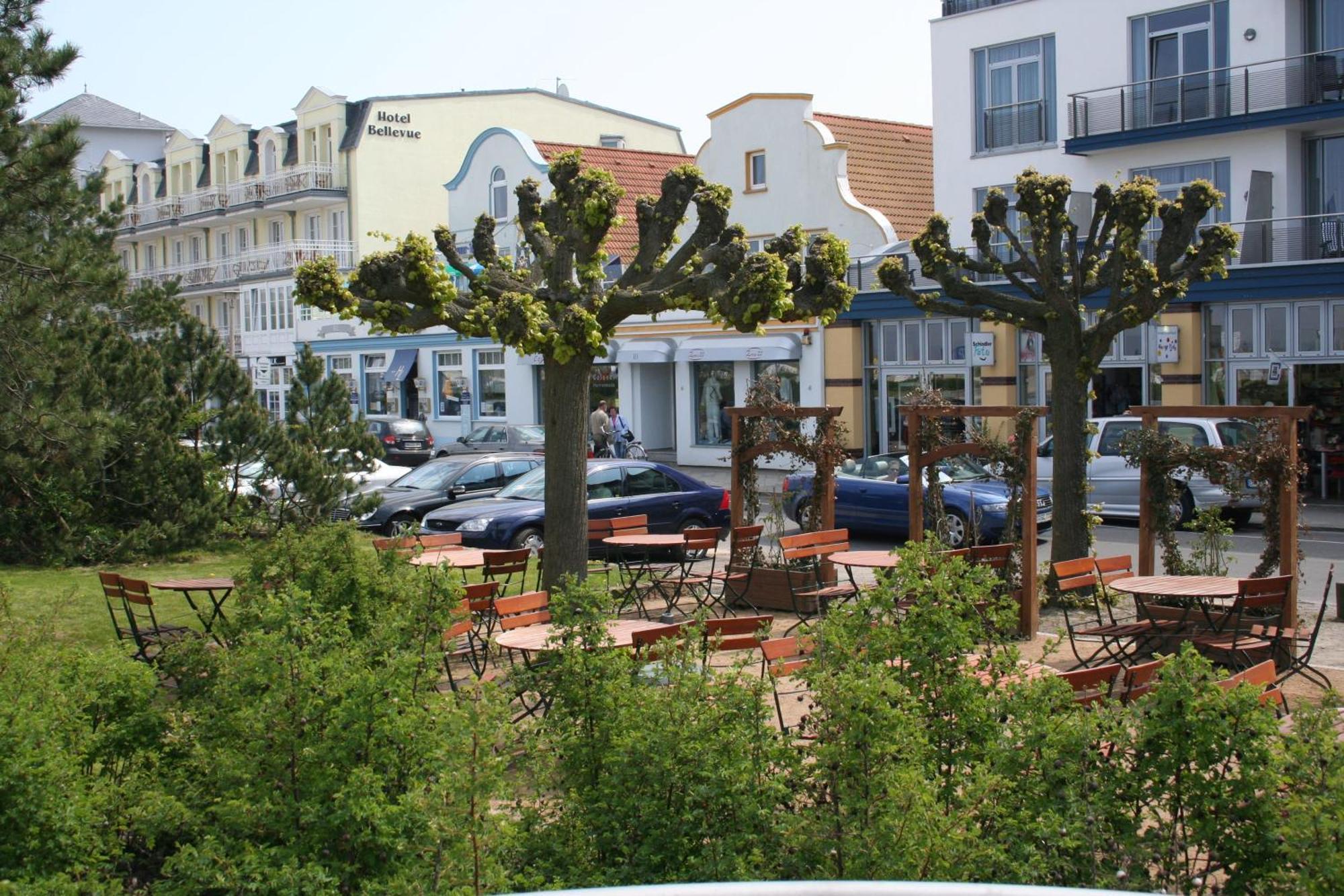 Warnemuende Seebrise Ref 50356